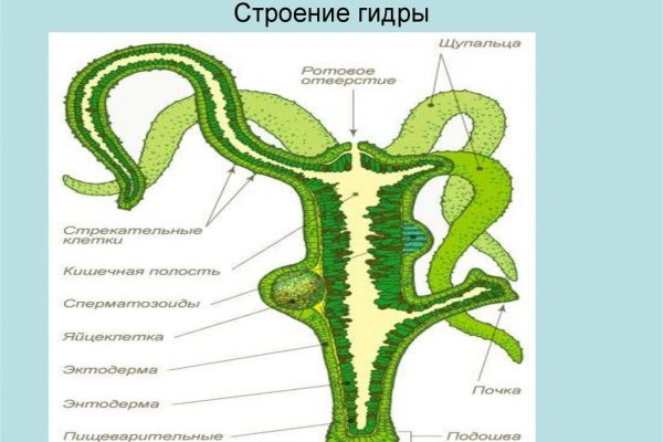 Кракен зеркало ссылка онлайн